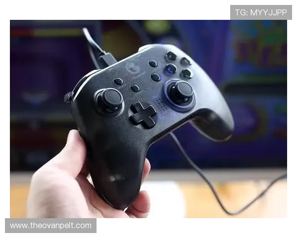 如何选择优质的FP老虎机平台确保游戏体验与资金安全 如何选择优质的FP老虎机平台确保游戏体验与资金安全